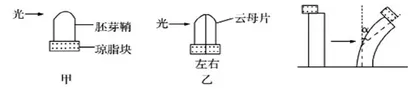 2019年全国高考新课程II卷生物试题分析