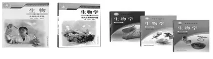 新课程下高中物理教学中德育教育的实施策略分析