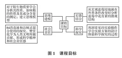 基于发展化学核心素养的校本课程开发与实施对策分析