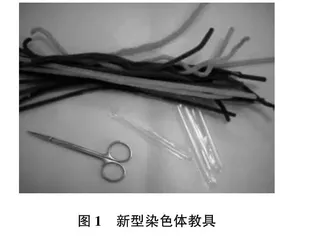 浅析自制教具在初中生物教学中的应用