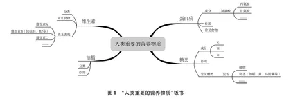 思维导图优化初中化学教学的应用策略探析