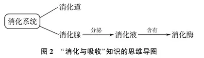 谈思维导图在初中生物新授课中的应用路径