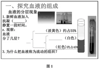基于现代技术谈交互式电子白板在生物课堂教学中的运用