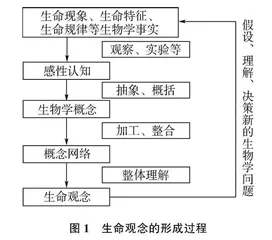 生物教学中培育生命观念的策略研究