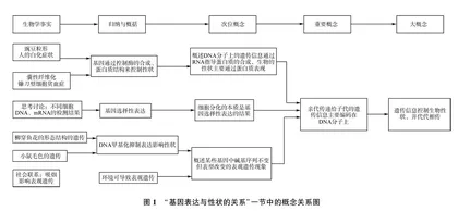 核心素养视角下的生物学概念教学