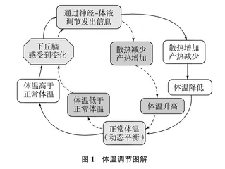 浅析高中生物如何开展有效的课堂教学