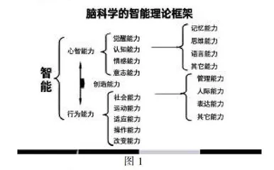 用脑科学教育课程创新助力“双减”政策落实