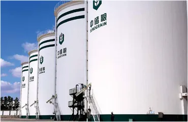 粮价指数创新高,中国如何应对全球农产品危机?2