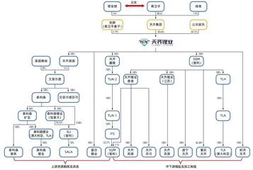 悬崖边的救赎:大举并购后的天齐锂业未来会好吗?1