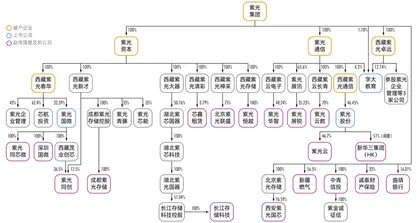 风起紫光:重整案背后的隐秘1