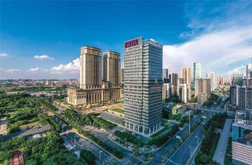广东金融高新区:粤港澳大湾区高质量发展标杆如何炼成?2