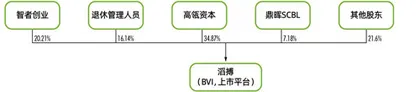 逆势再上市:高瓴赋能5年,百丽“能”了吗?4