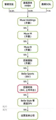 逆势再上市:高瓴赋能5年,百丽“能”了吗?5
