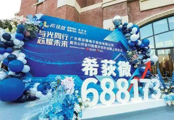 打造发展新格局:“两高四新”产业何以在南海崛起?2
