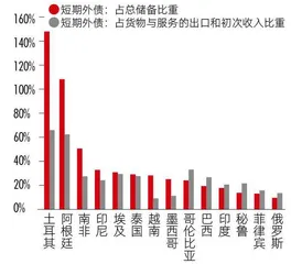 新兴市场债务危机来袭,下一个倒下的会是谁?2