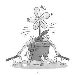 生命教育：让学生绽放生命，成就自我