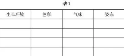 核心素养下小学语文作业设计的几点思考