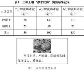 PISA素养测试导向下的小学科学作业设计策略研究