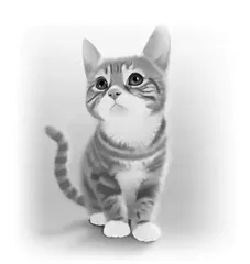 如何了解和教育猫型的孩子