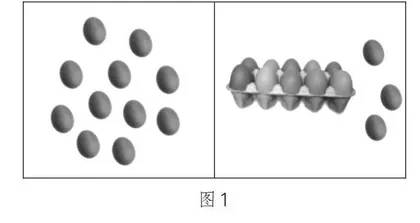 播撒算法种子，收获算理之树