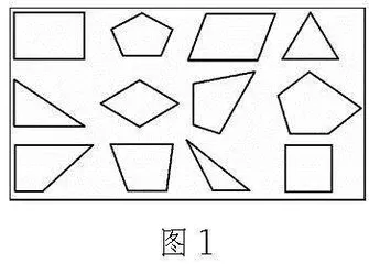 基于特点分析　深化图形认识