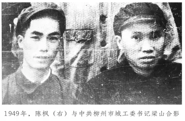 我的父亲陈枫守党纪强党性二三事
