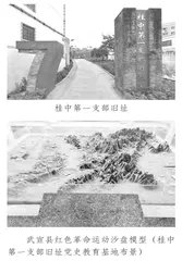 陈炳璋：武宣农运先导者