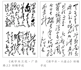 毛泽东诗词的字斟句酌