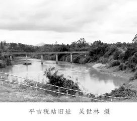 两岸黄花分外香2