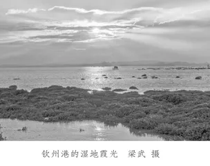 培育运河文化 礼赞伟大时代