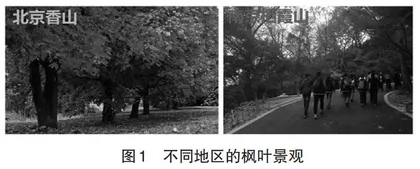 在教学中发展核心素养的探究与思考