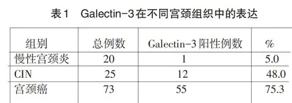 宫颈癌组织中Galectin-3的表达意义