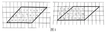 从误解到理解，小学数学学中的反例视角