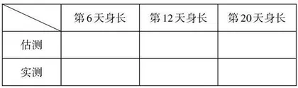 小学生量感培养的教学策略探究