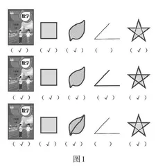 在充分体验与对比理解中把握周长本质