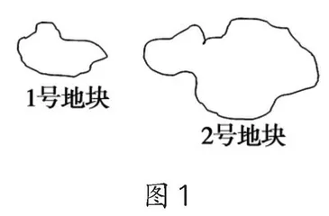 小学数学量感培养策略探析