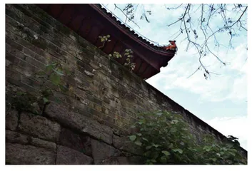 清代湖南宝庆府慈善事业中的官民互动