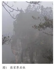 张家界山水画艺术中的地质符号表达