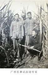 抗战时期柳州沙塘的农民联欢会
