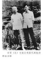 左江支队老战士凌云观忆峥嵘岁月