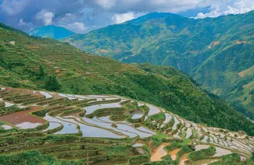 乡村旅游如何推动乡村振兴高质量发展 