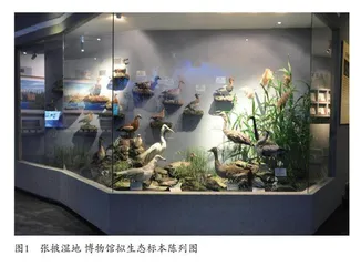 自然博物馆公共文化服务能力新气象 