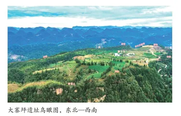 湖北咸丰大寨坪遗址
