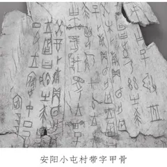 国之重宝李峪牺尊与司母戊鼎2