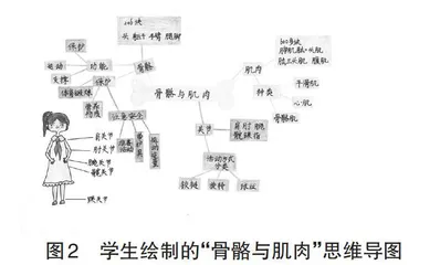 应用思维导图组织小学高年段科学复习教学的研究