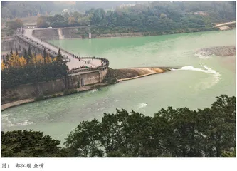毁灭与重生：都江堰岁修材料变动及争论