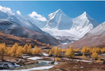 抖音短视频对旅游者出游意愿的影响