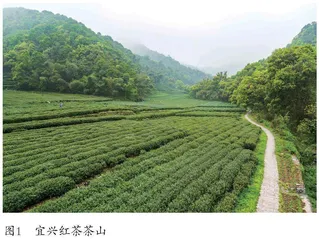 “互联网+茶旅”背景下宜兴茶品牌营销策略