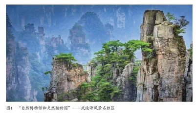 张家界山水美学与生态旅游开发实践 