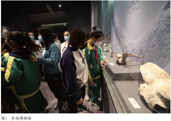 文旅融合背景下的文物保护和利用